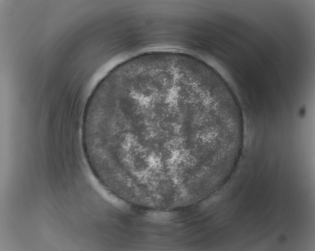 X0000115211237200911251500