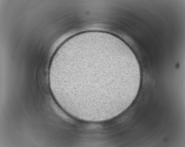 X0000115211238200911251500