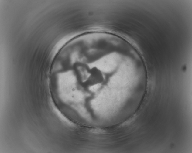 X0000115211239200911251500