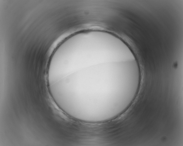 X0000115211240200911251500