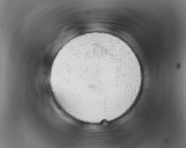 X0000115211241200911251500