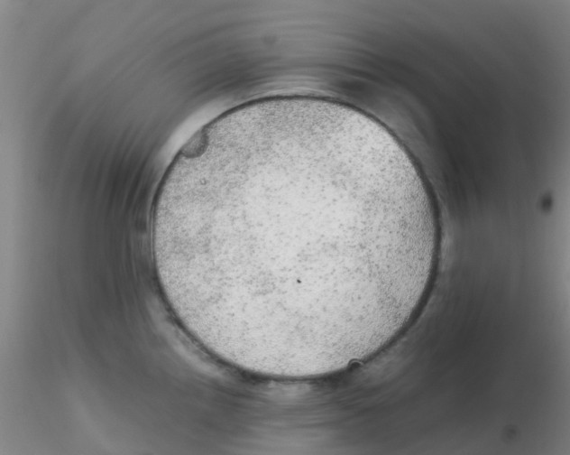 X0000115211242200911251500