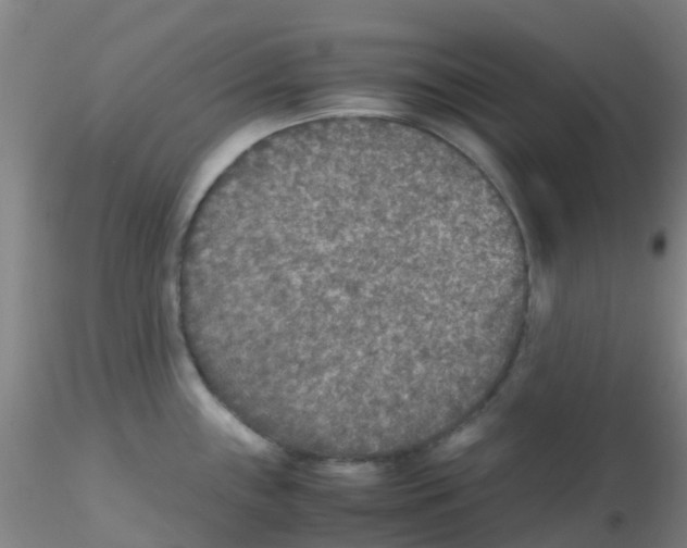 X0000115211243200911251500