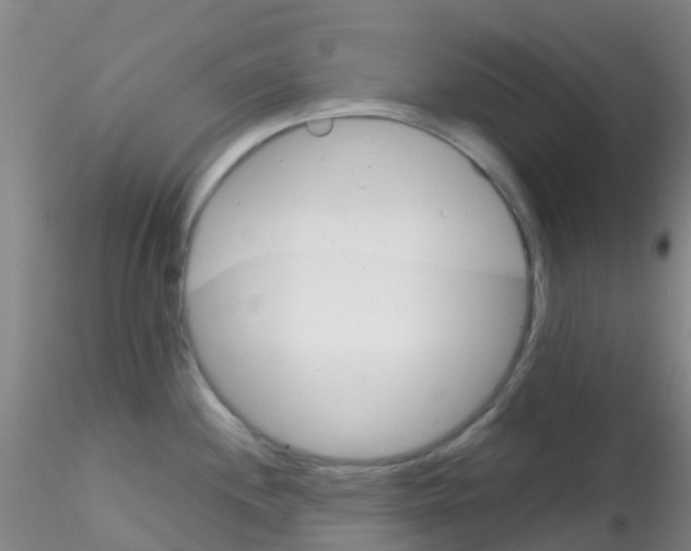 X0000115211244200911251500