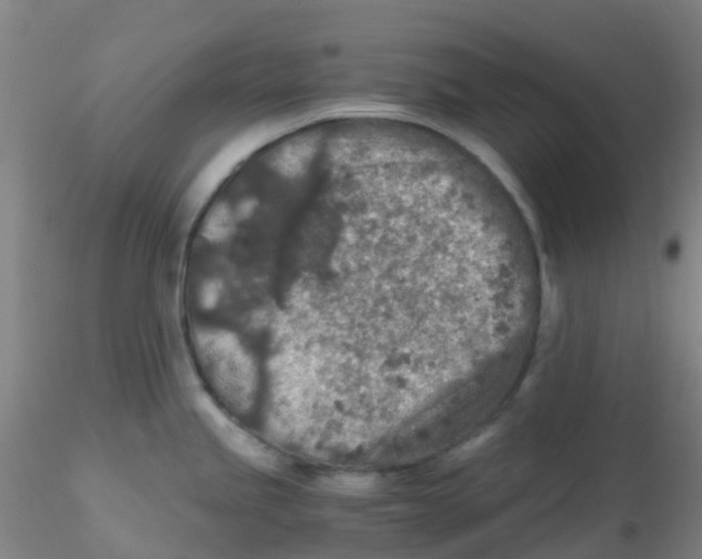 X0000115211245200911251500