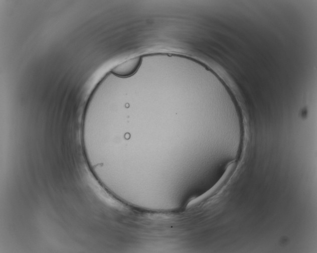 X0000115211246200911251500