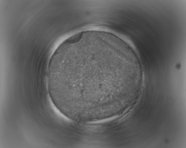 X0000115211247200911251500