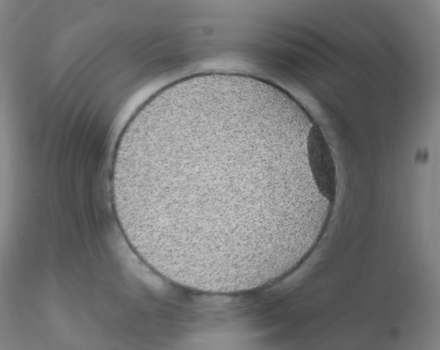 X0000115211248200911251500