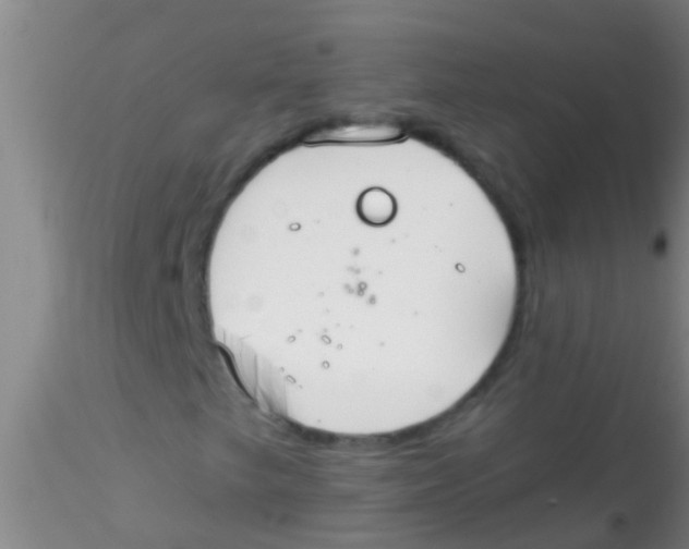 X0000115211249200911251459