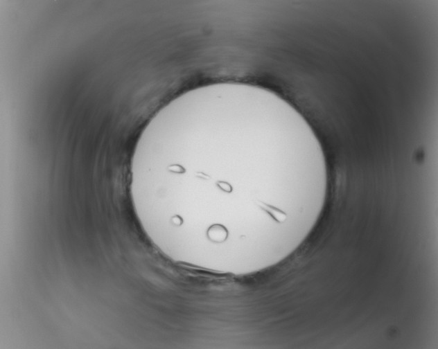 X0000115211250200911251459