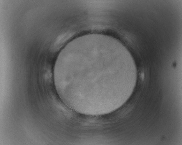 X0000115211252200911251459