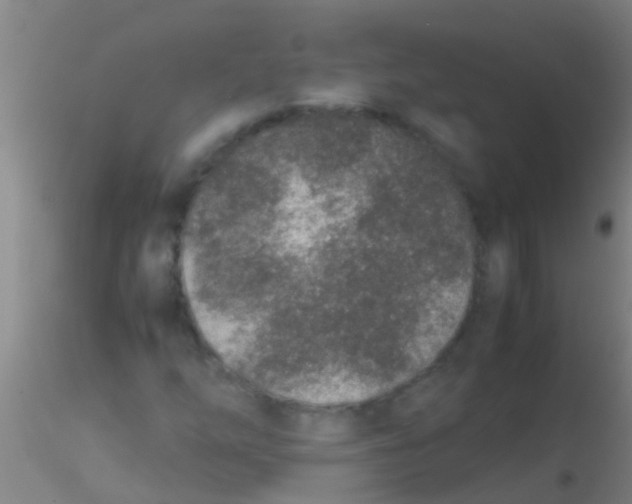 X0000115211254200911251459