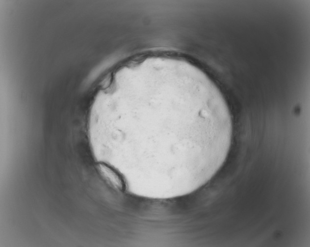 X0000115211255200911251459