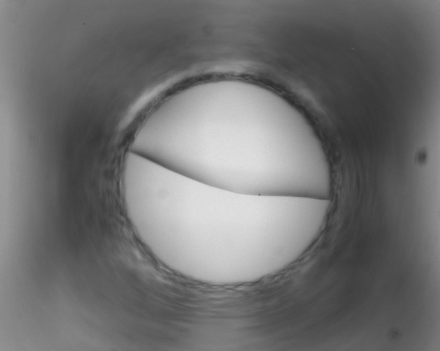 X0000115211256200911251459