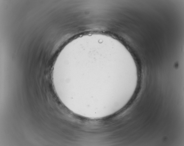 X0000115211257200911251459