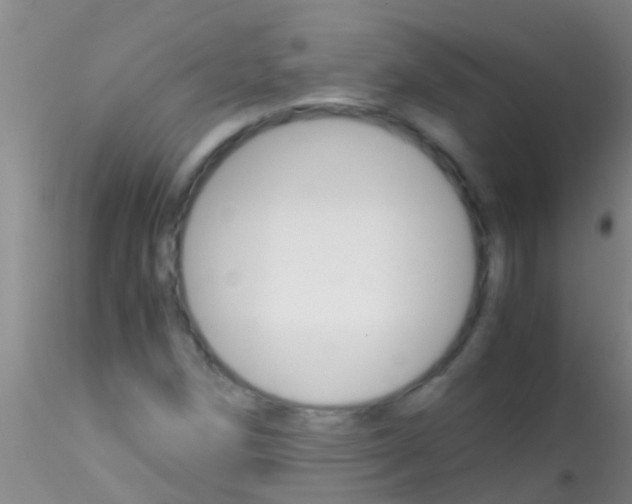 X0000115211258200911251459