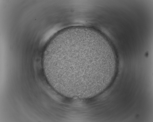 X0000115211259200911251459