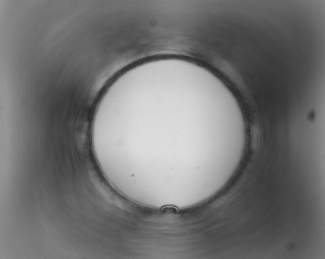 X0000115211260200911251459