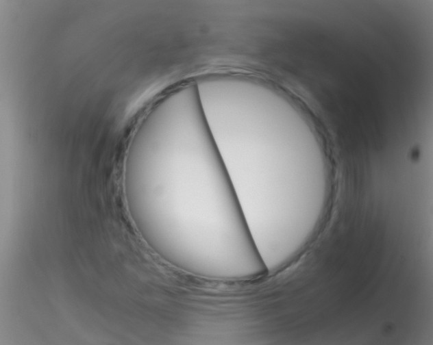 X0000115211261200911251459