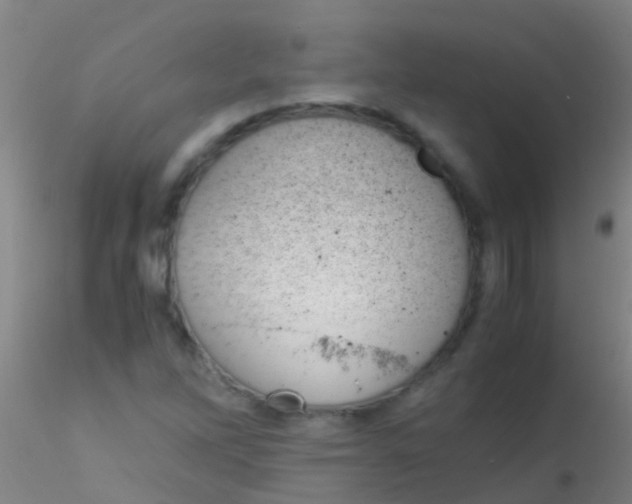 X0000115211262200911251459