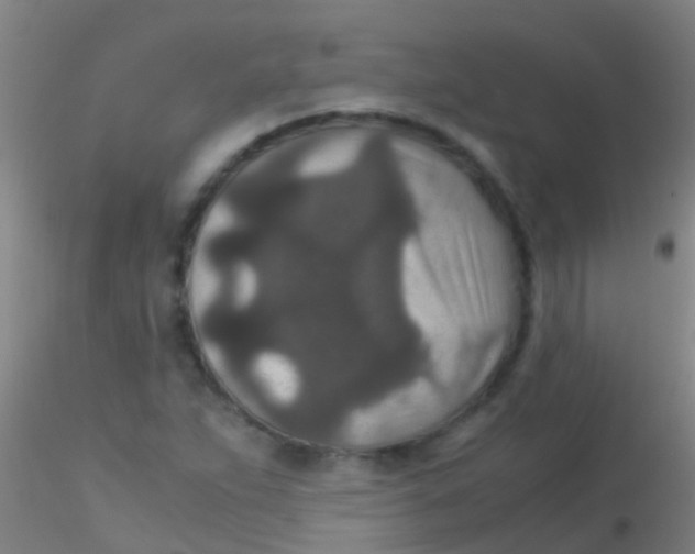 X0000115211263200911251459