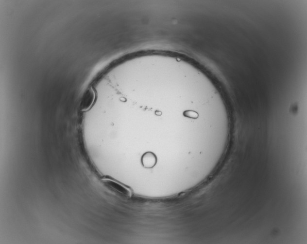 X0000115211264200911251459