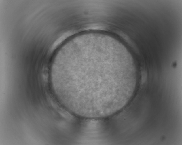 X0000115211266200911251459