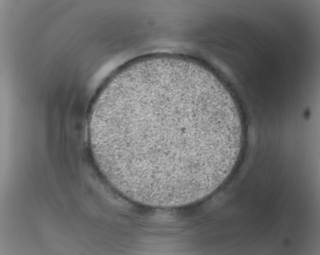 X0000115211267200911251459