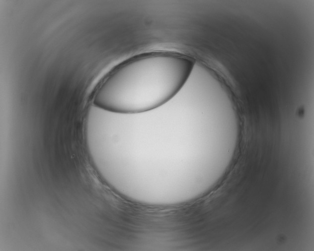 X0000115211268200911251459