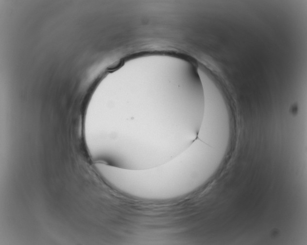 X0000115211269200911251459