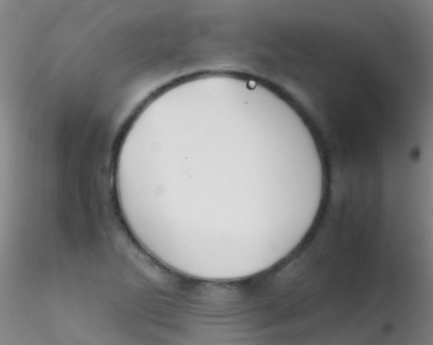 X0000115211270200911251459