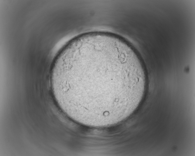 X0000115211271200911251459