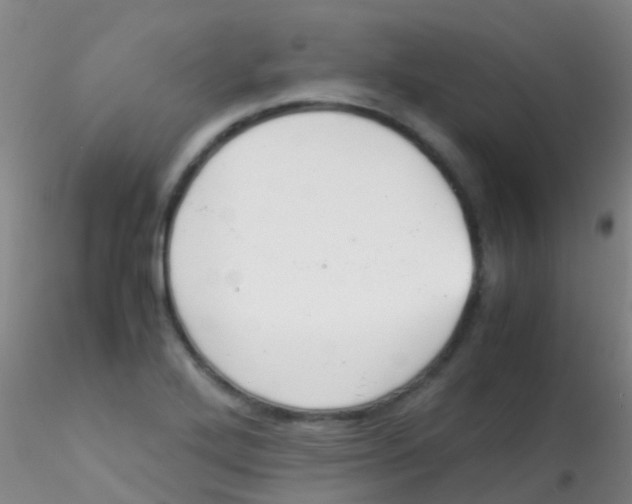 X0000115211272200911251459