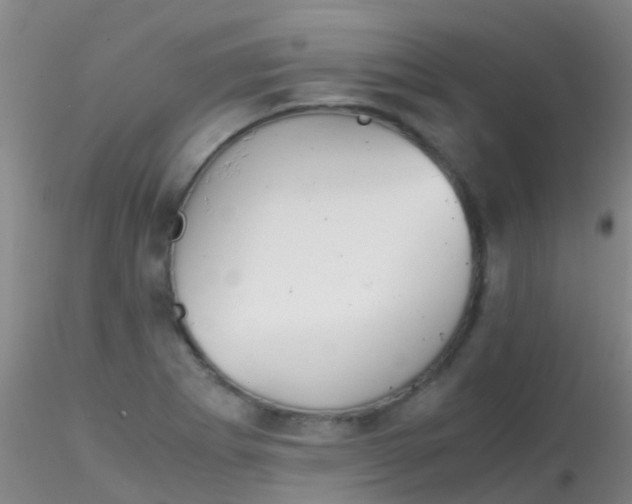 X0000115211273200911251459