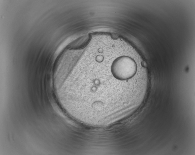 X0000115211274200911251459