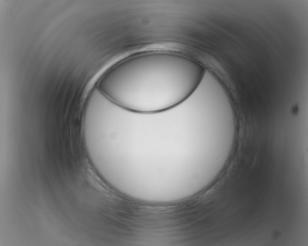 X0000115211276200911251459