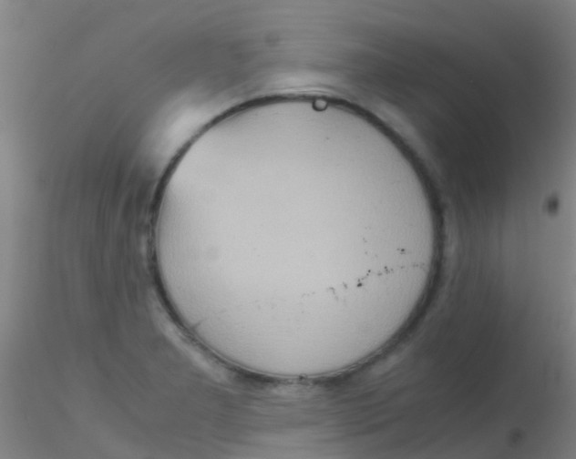 X0000115211277200911251459