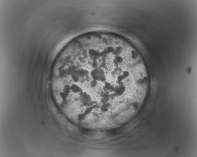 X0000115211279200911251458