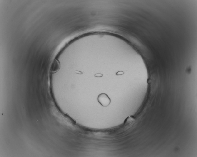 X0000115211280200911251458