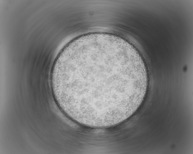 X0000115211283200911251458