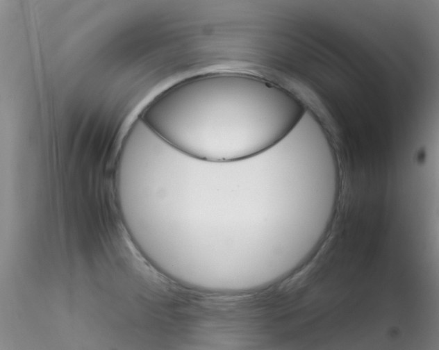 X0000115211284200911251458