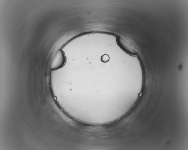 X0000115211285200911251458