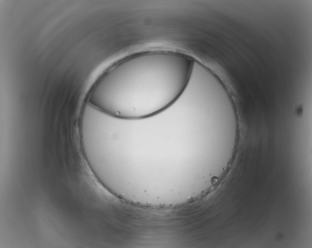 X0000115211288200911251458