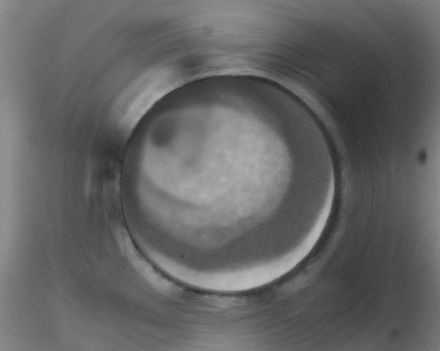 X0000115211289200911251458