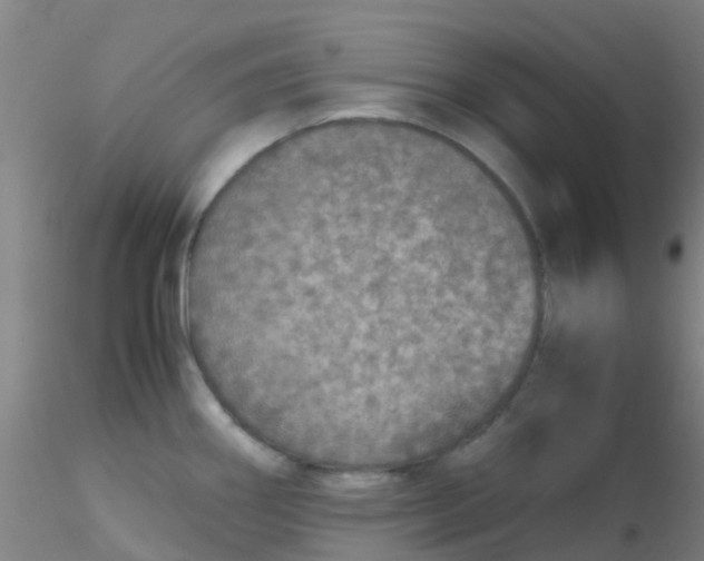 X0000115211290200911251458