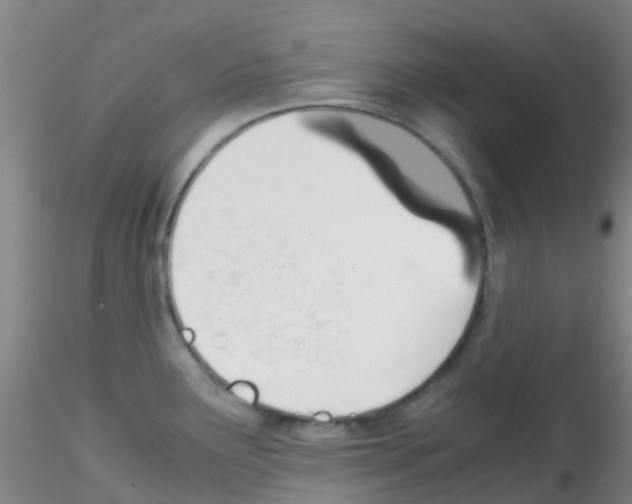 X0000115211291200911251458