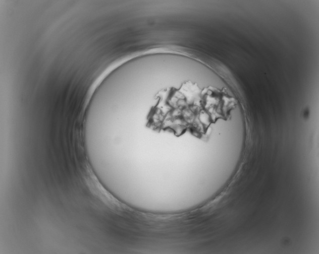 X0000115211292200911251458