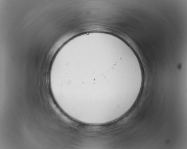 X0000115211293200911251458