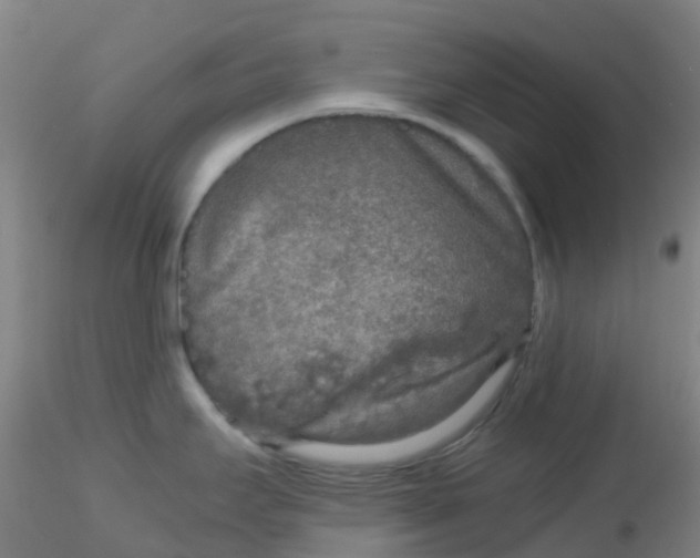 X0000115211295200911251458