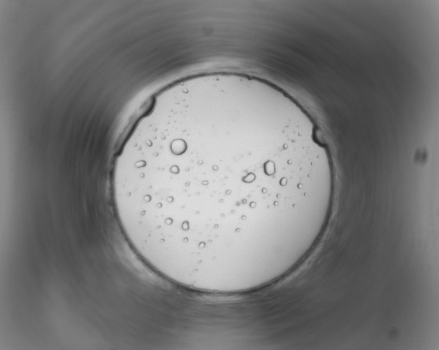 X0000115211296200911251458